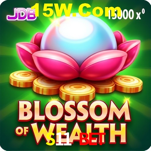 Casino VIP S11 Bet